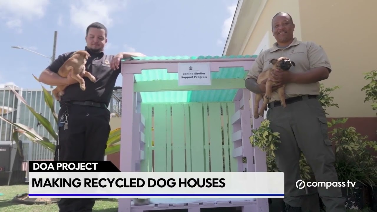 Agriculture department turns shipping pallets into dog shelters