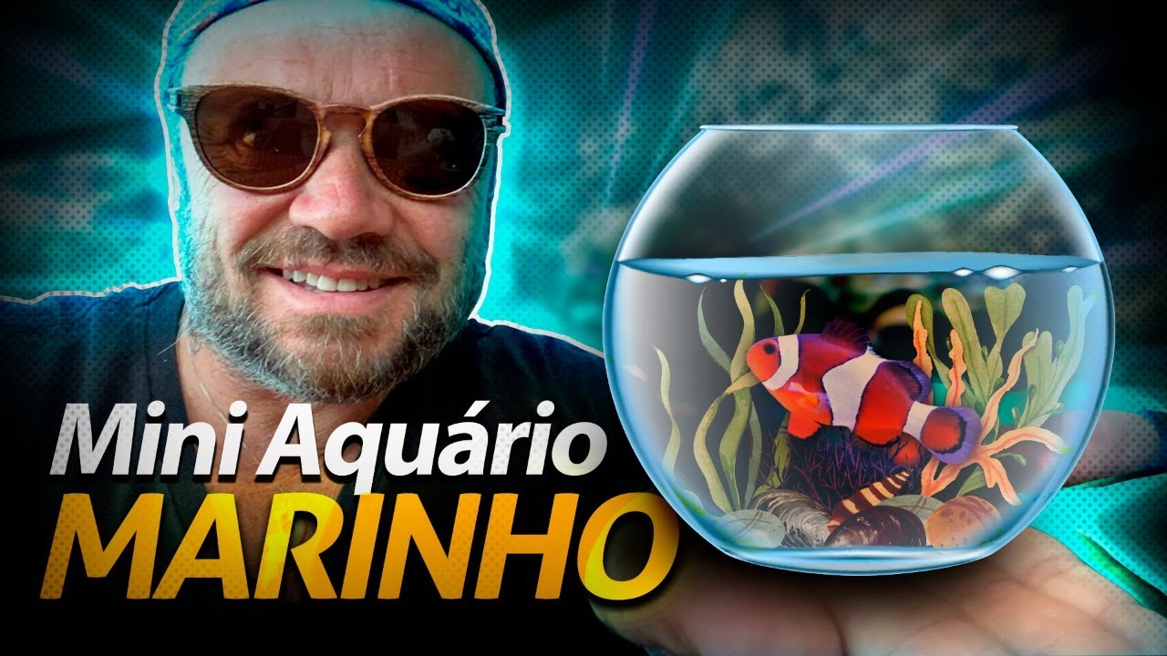 MONTAMOS UM MINI AQUÁRIO DE ÁGUA SALGADA! | RICHARD RASMUSSEN