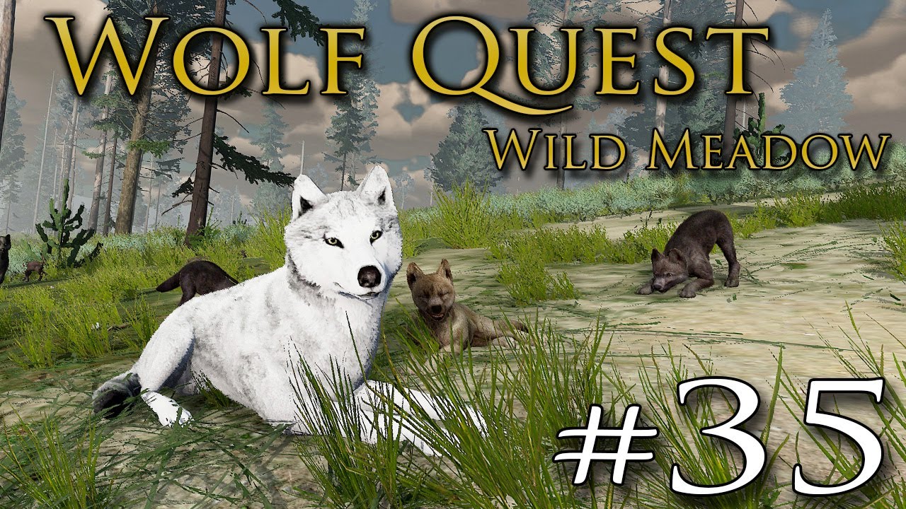 The Final WILD MEADOW Wolf Pups Left?! 🐺 WOLF QUEST: WILD MEADOW • Finale!!