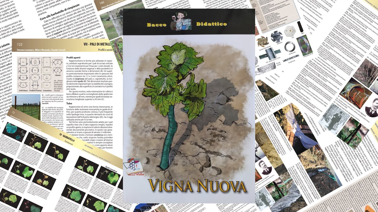 Impiantare un vigneto - VIGNA NUOVA