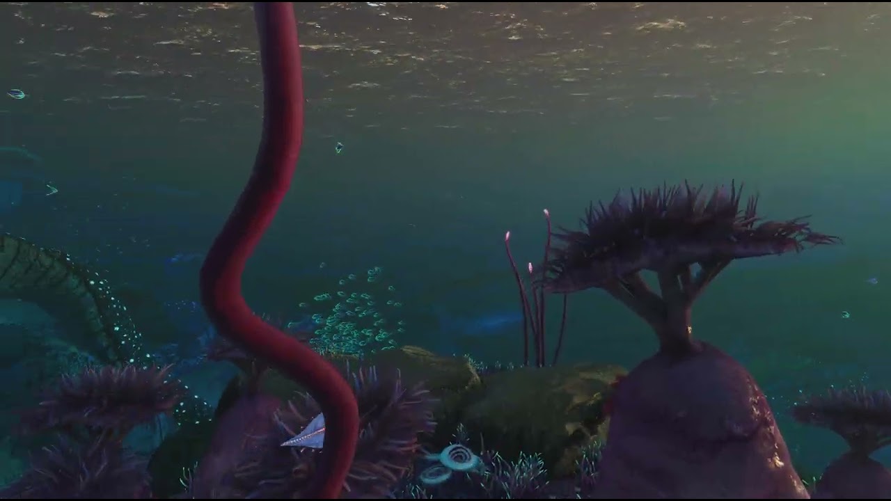 Subnautica Below Zero_20260204001318