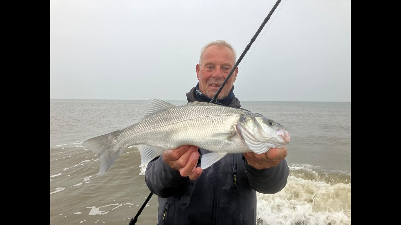 Zicht op zeebaars: Strandvisserij is nog geweldig!
