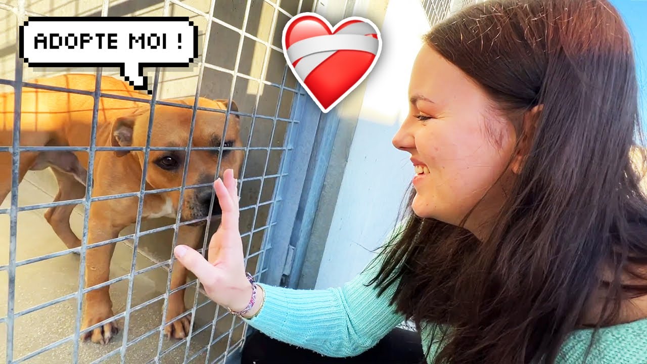 RETOUR à la S.P.A ! Ca nous a brisé le coeur...🐶😭