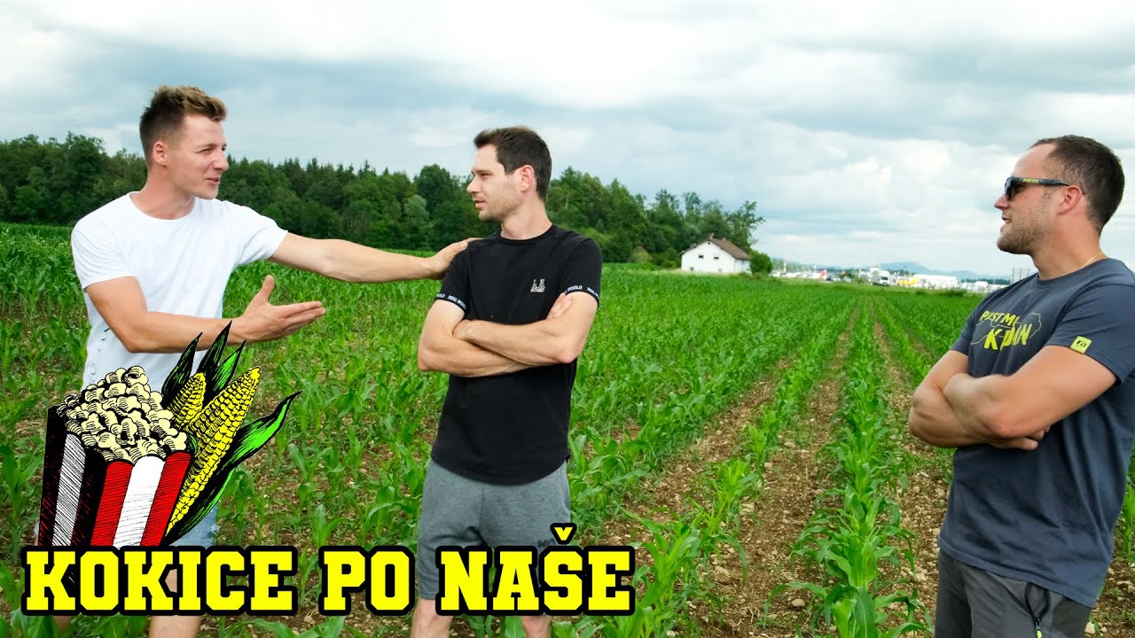 KOKICE PO NAŠE - Česanje kokic (4. del)