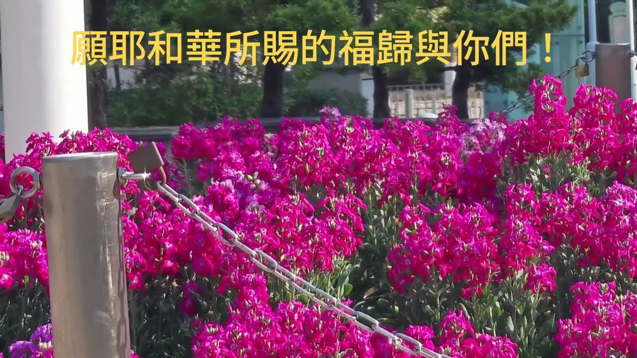 上帝的祝福 (Amazing Grace)