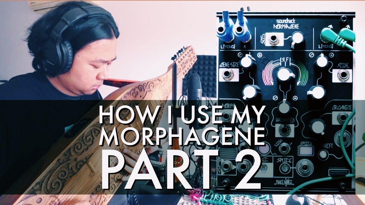 How I use My Morphagene with an Acoustic Instrument - Sape (Part 2)