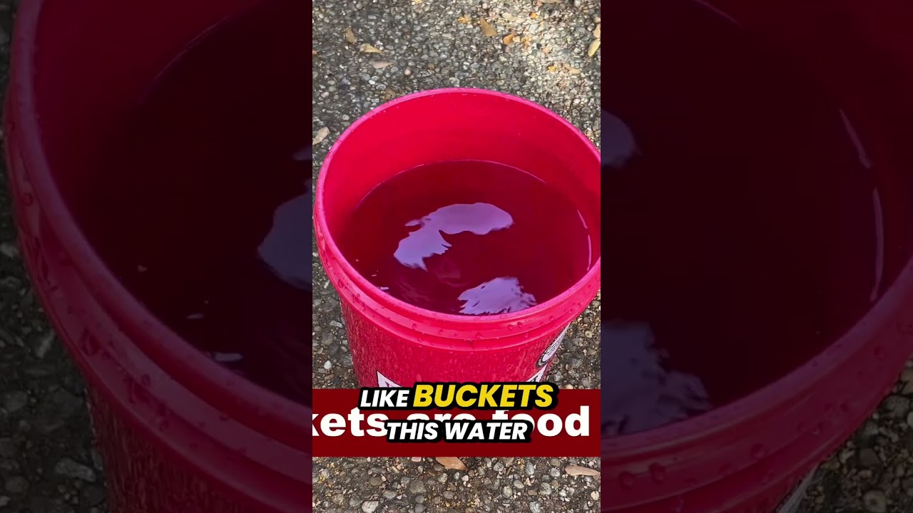 EMP Survival: Water & Vehicle Hacks