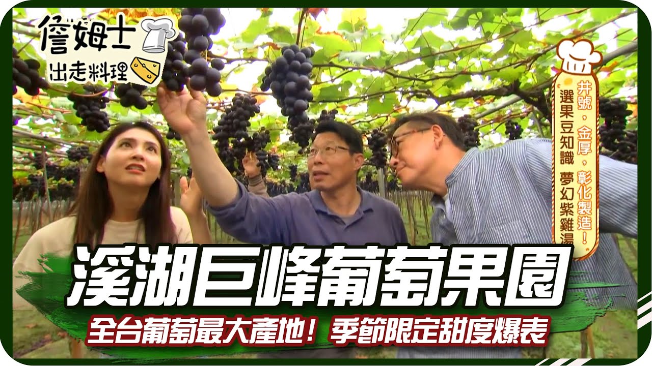《跟著姆士出遊去》溪湖巨峰葡萄果園 全台最大產地!!季節限定甜度爆表