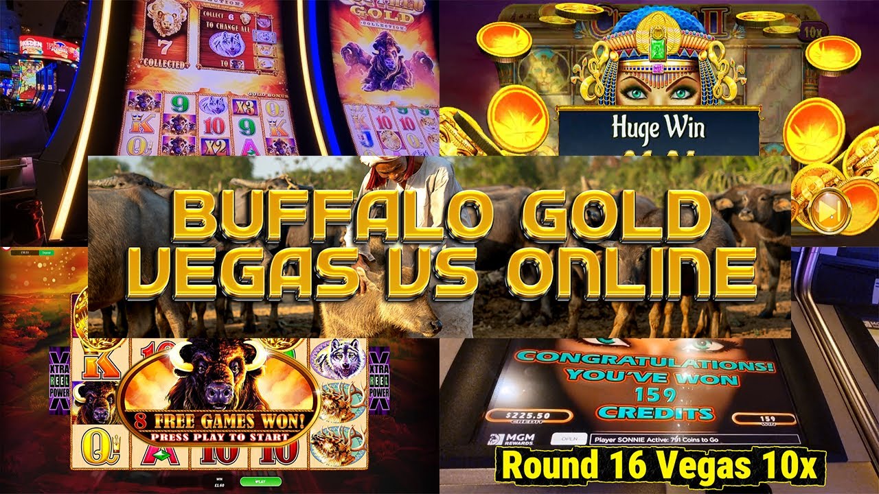 2nd Part Vegas Trip Buffalo Gold Vs Online Version Battle