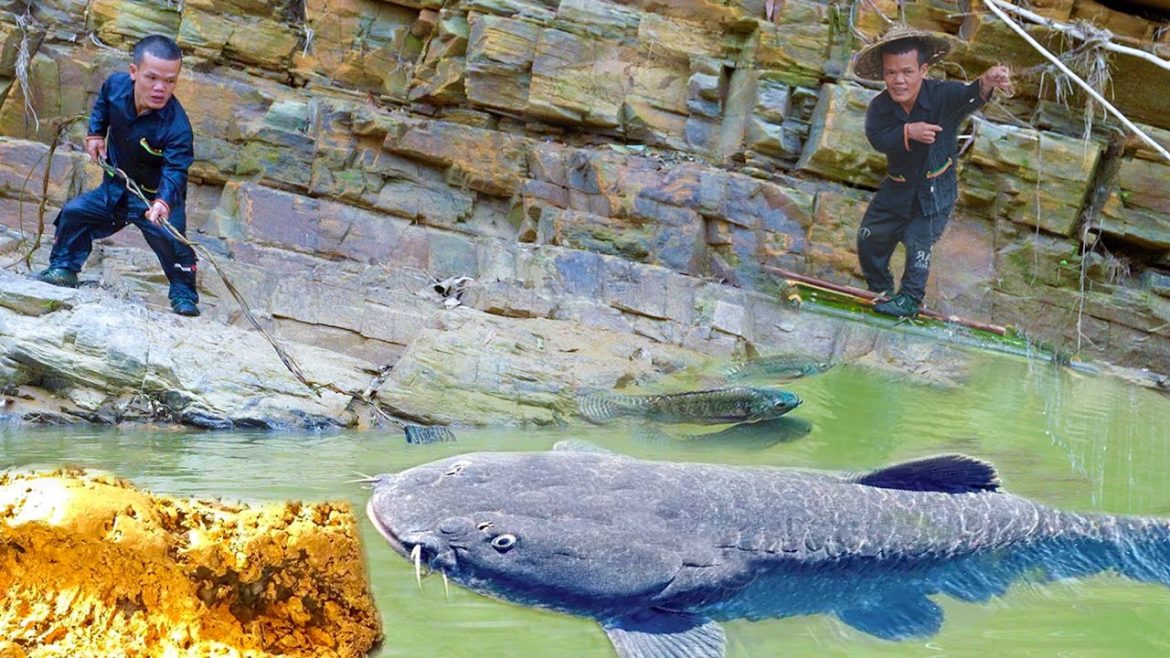 Dawrf Family Fishing For Giant Catfish - Setting Nets to Trap Fish - Discover Gold in a Rock Cavity