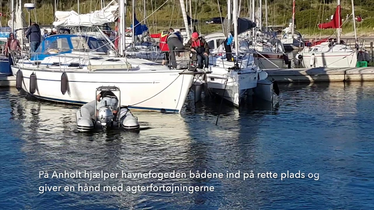 Anholt Havn