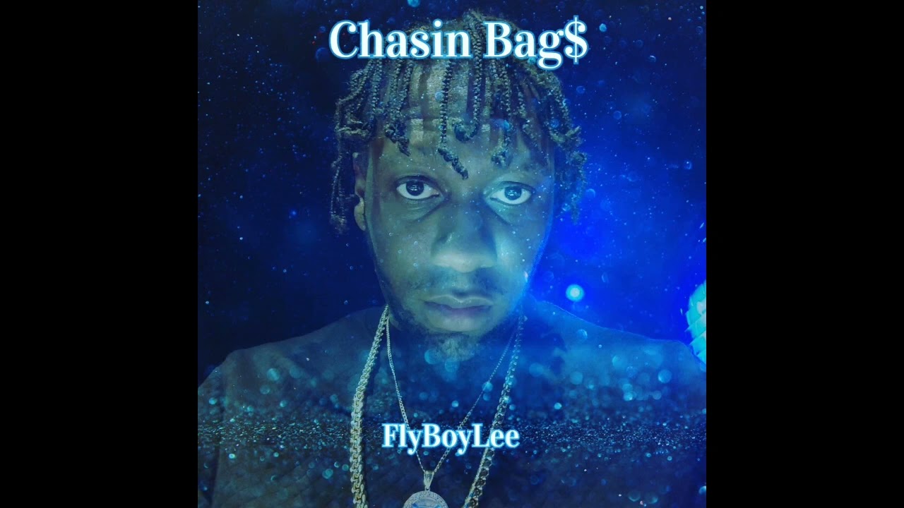 FlyBoyLee - Chasin Bags