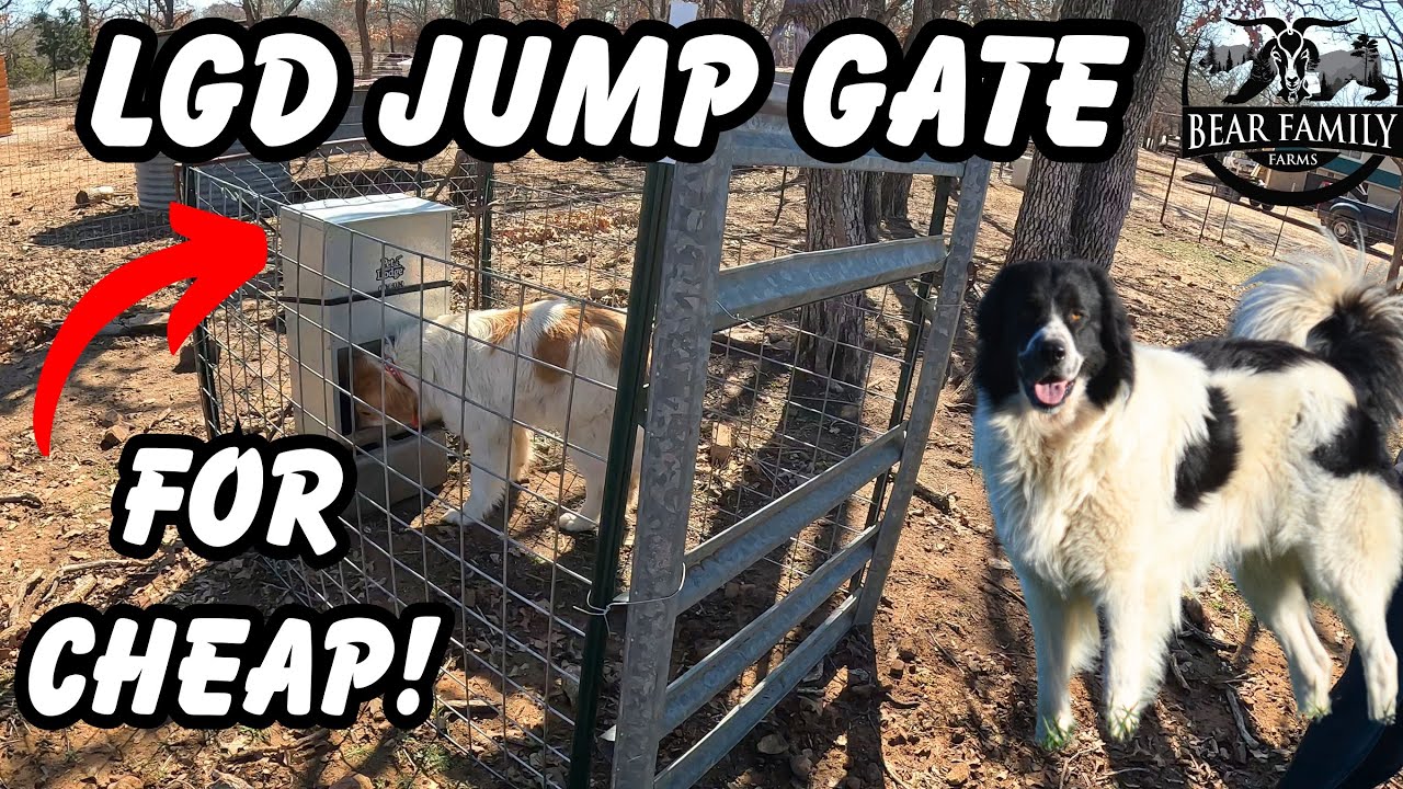LGD JUMP GATE DIY !