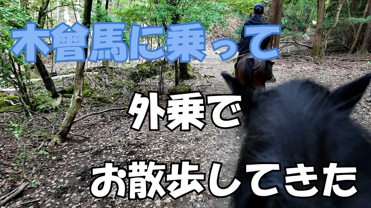 木曾馬に乗って外乗でお散歩してきた#263【水曜日】0211