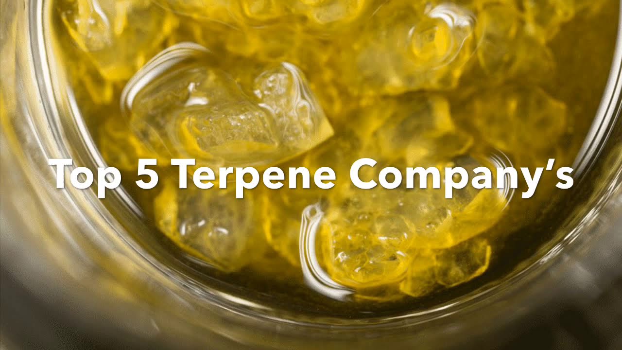 Top 5 Terpene Brands