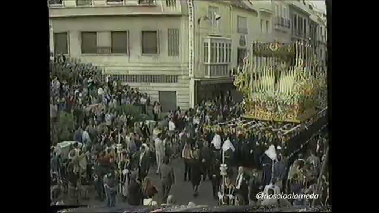 Espíritu Cofrade- Paloma