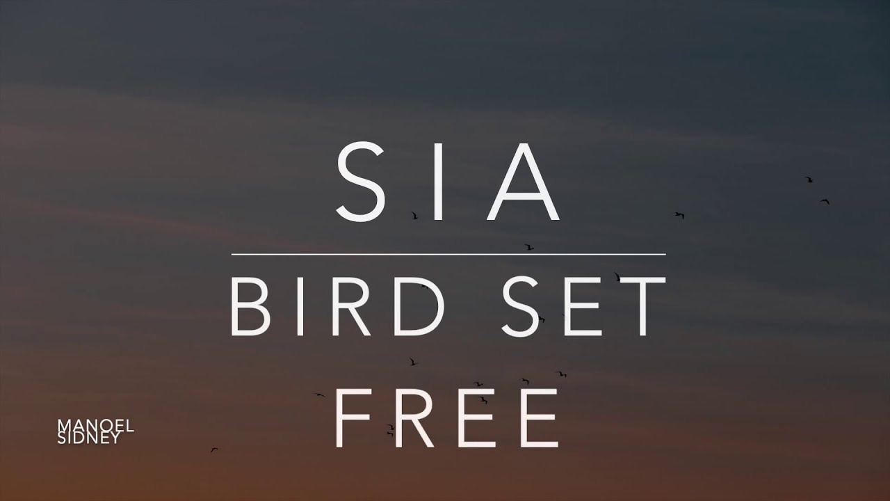 Sia - Bird Set Free (Lyrics/Tradução/Legendado)(HQ)