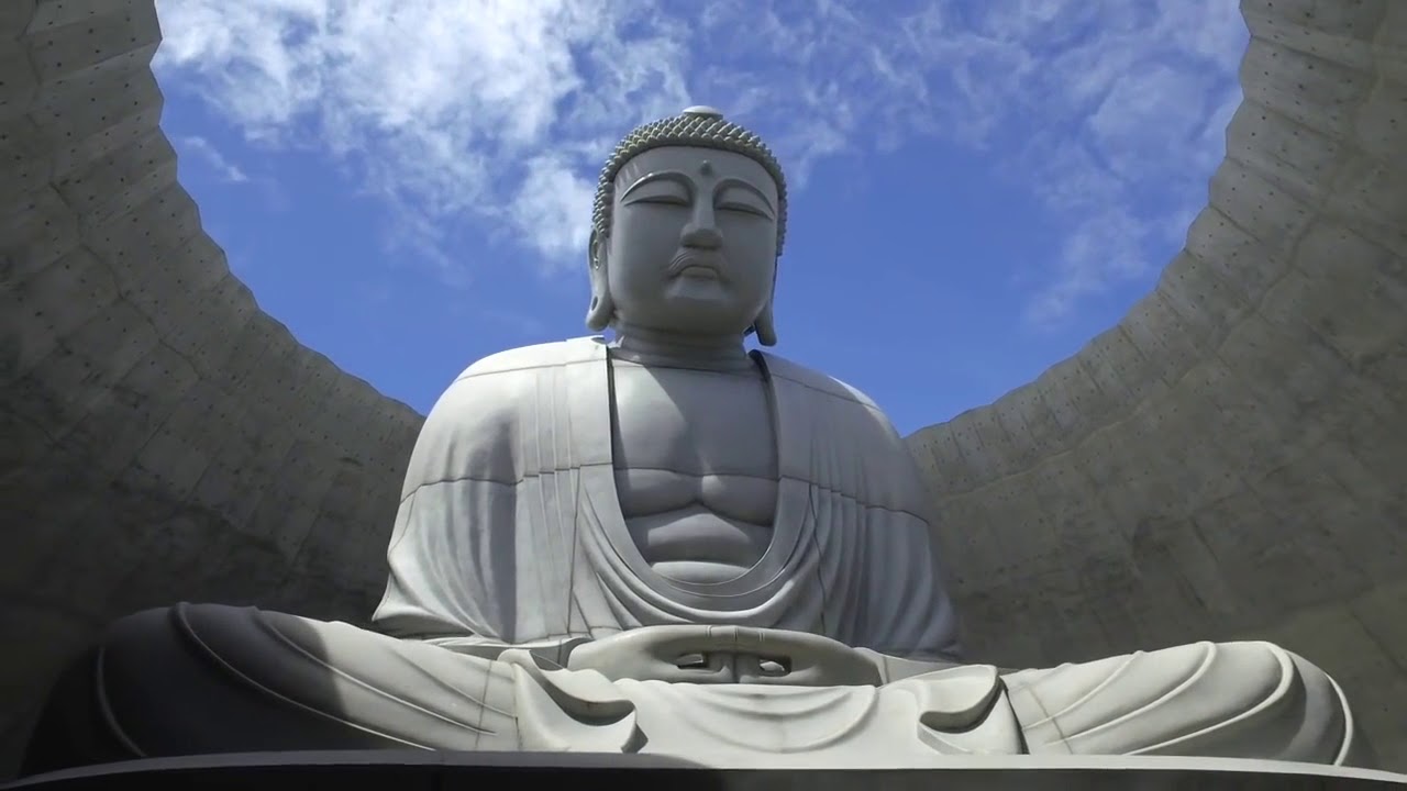 Envelops Giant Buddha Statue in Lavender Planted Hill Temple by Tadao Ando