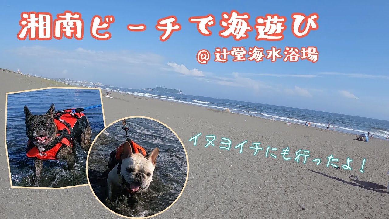 フレブル友達と湘南ビーチで海遊びを最高に楽しみました♪