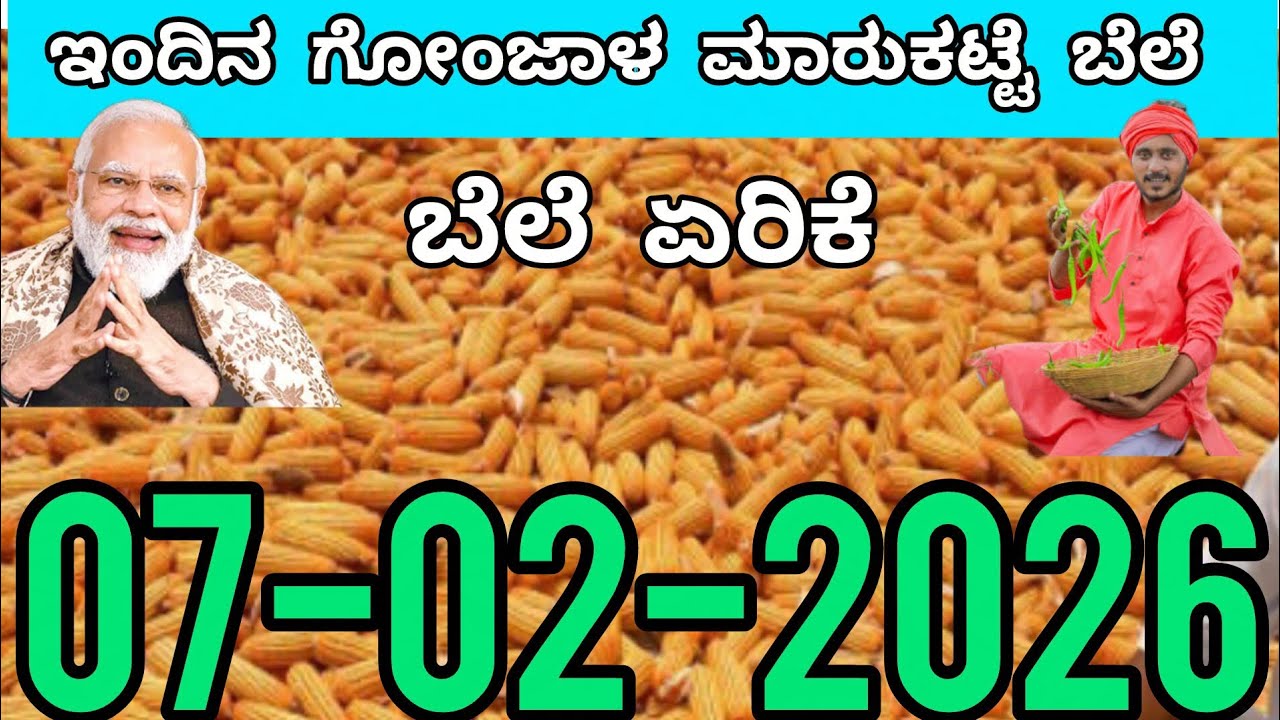 ಗೋಂಜಾಳ ಬೆಲೆ07.02.2026ರ ಮಾರುಕಟ್ಟೆಯ ಬೆಲೆ ಇದಾಗಿದೆ #kannada #mazie #todaymarket