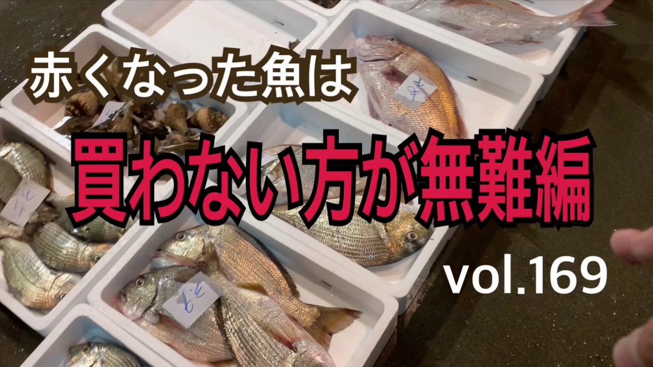 赤くなった魚は買わない方が無難編 vol.169