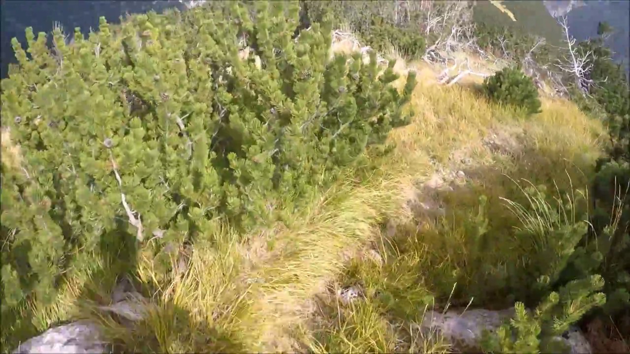 Gobbe di Selvaromana