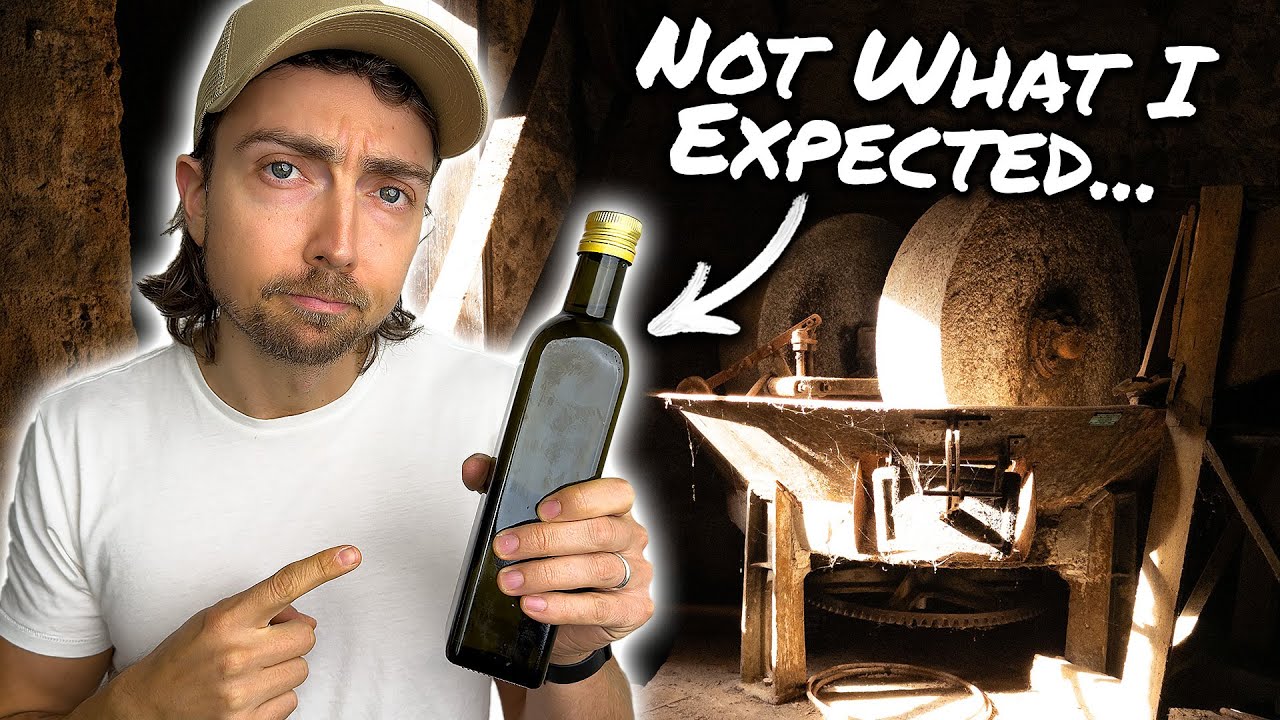 I Made My Own Olive Oil (and learned the truth about it)