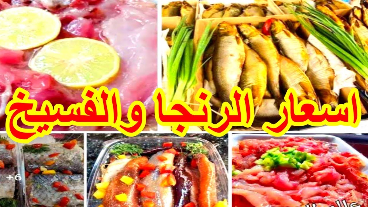 اسعار الرنجه والفسيخ علشان شم النسيم #عيد الفطر2023#شم النسيم#فسخاني باب البحر