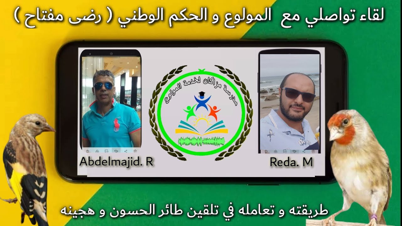 لقاء ولاعي : تلقين طائر الحسون و هجينه