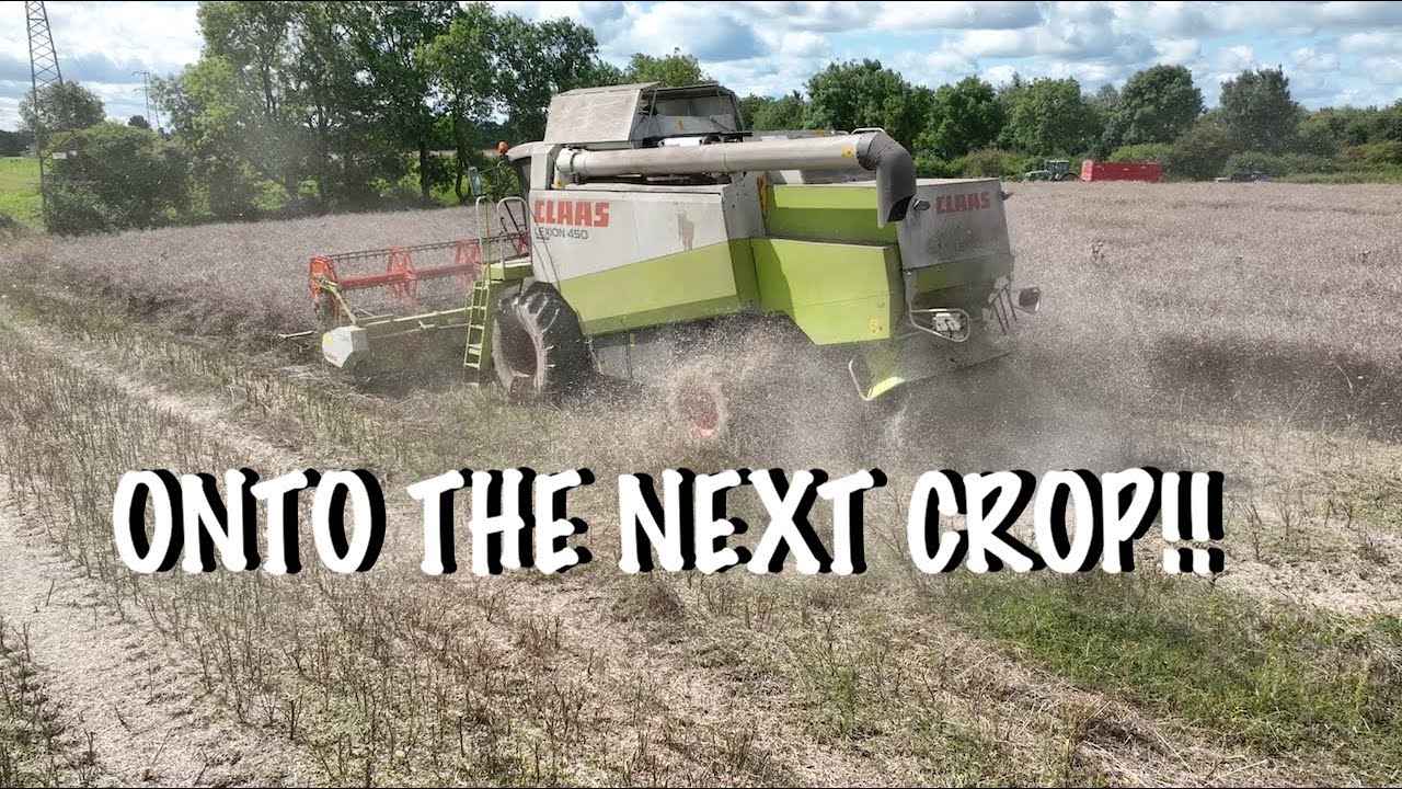 STARTING THE OILSEED RAPE!!