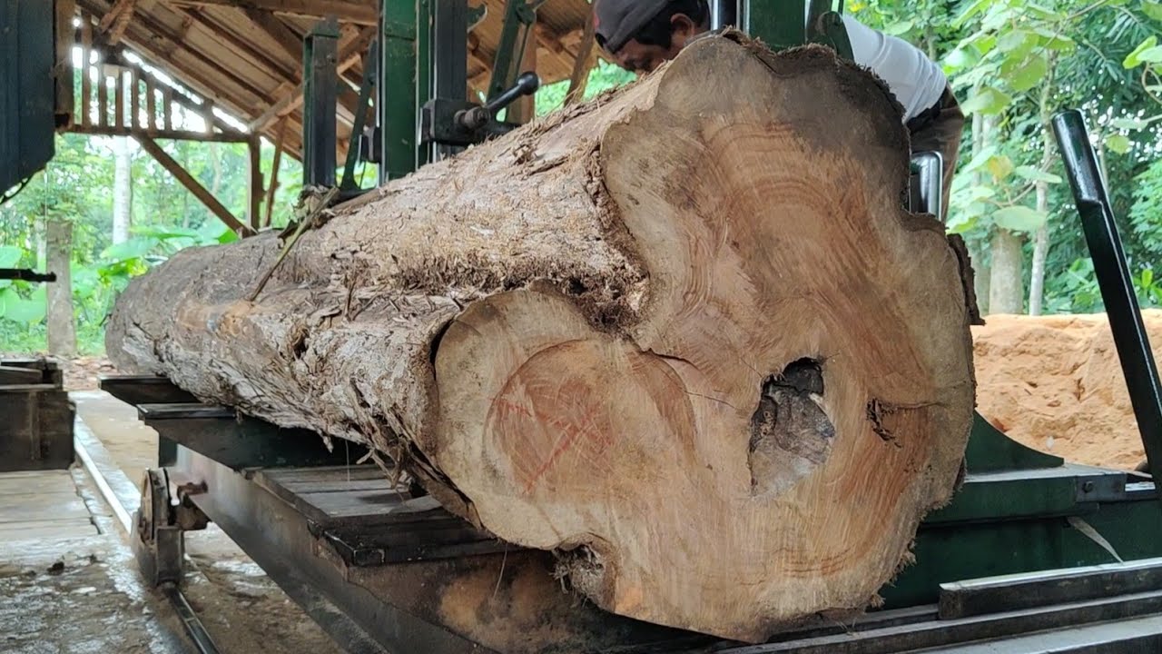 TERRIFYING CUTTING LARGE TEAK WOOD FOR FRAME MATERIAL 