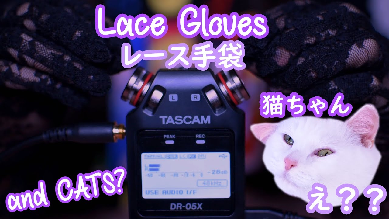 ASMR ❤ Lace Gloves and Casual Cat ASMR?