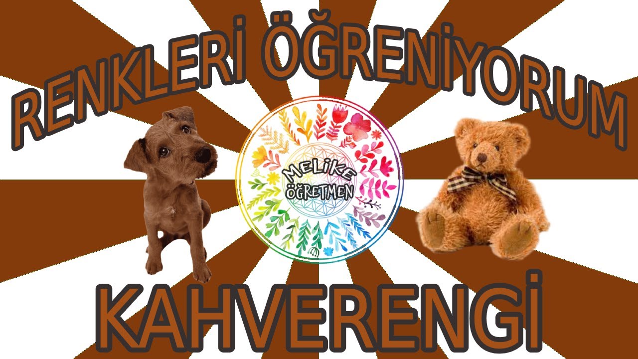 RENKLERİ ÖĞRENİYORUM // KAHVERENGİ // OKUL ÖNCESİ