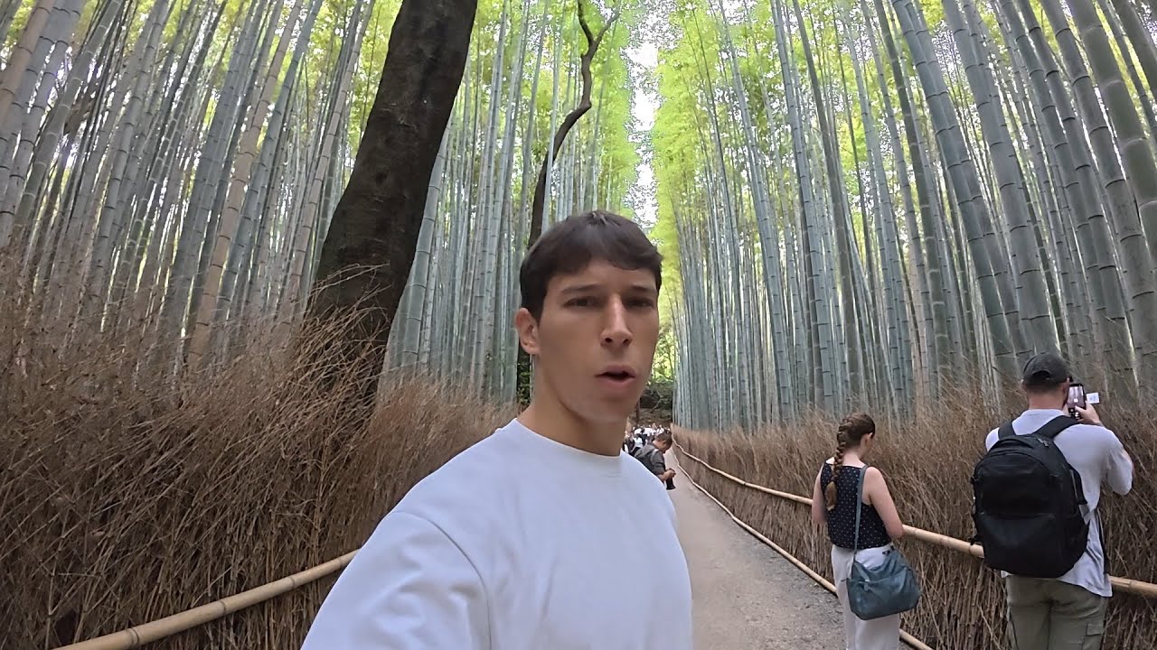 Questo posto a Kyoto è INCREDIBILE! 🇯🇵 Vlog#31