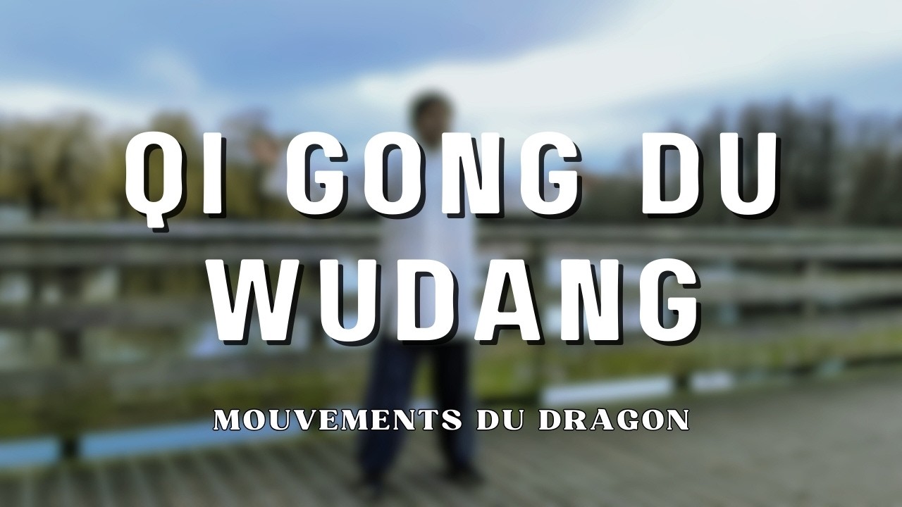 Qi Gong du Dragon du Wudang 🐉 | Libérer l’Énergie du Foie & les Émotions –  Educatifs de la 3ème