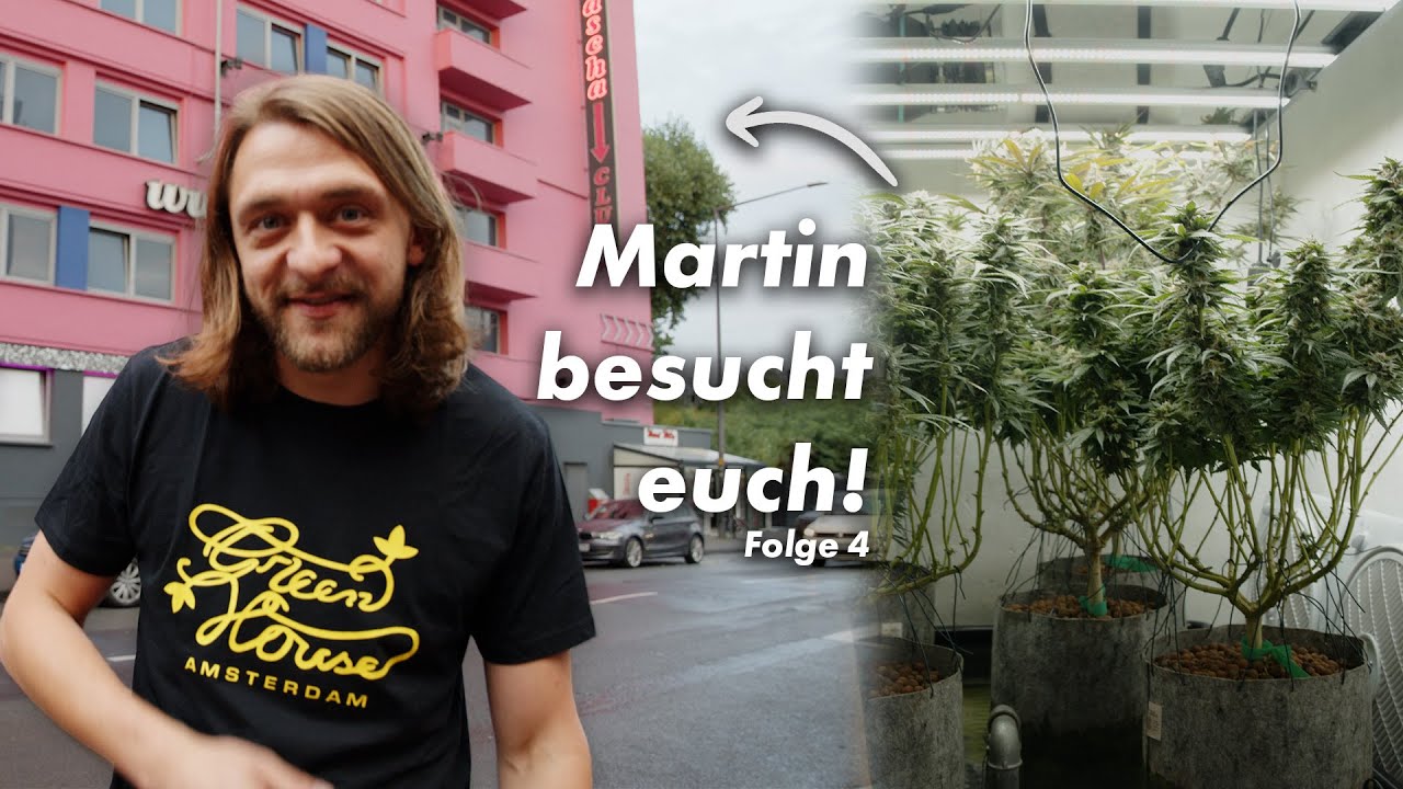 Der Grow-MacGyver! 💡 So kreativ kann man g&uuml;nstig anbauen - Hausbesuch #4