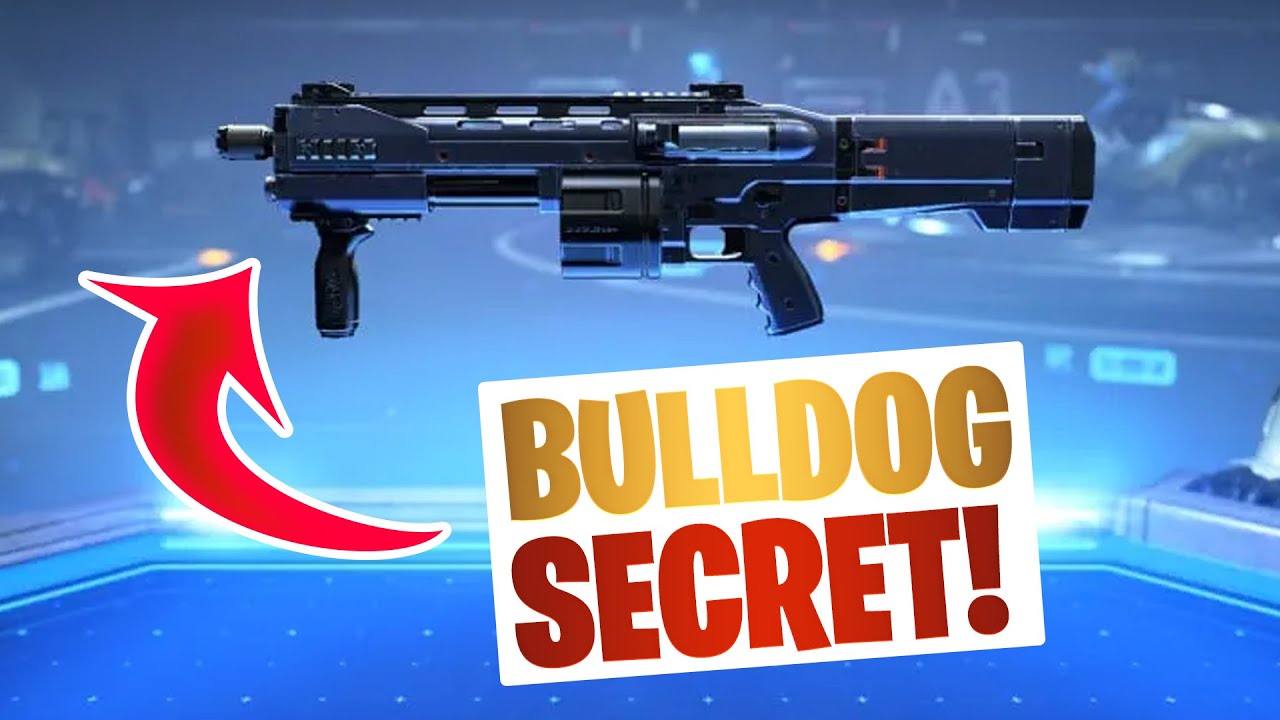 THE BULLDOG SECRET YOU MAY NOT KNOW