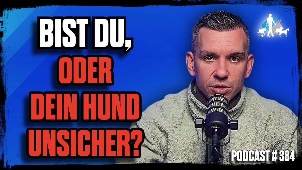 BIST DU, ODER DEIN HUND UNSICHER???