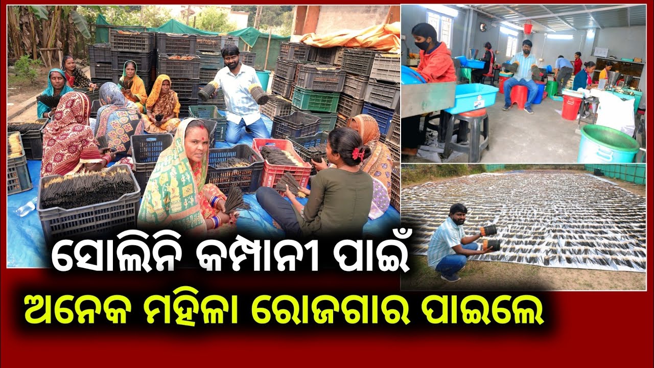 ଗାଁରେ କାମ ମିଳୁନି ଧୂପ କାରଖାନା ଖୋଲିବାରୁ ଗାଁର ମହିଳାମାନେ କାମ ପାଇଲେ ! New agarbatti factory in odisha
