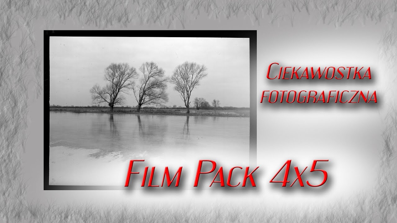 Film Pack 4x5 - Kodak tri-x