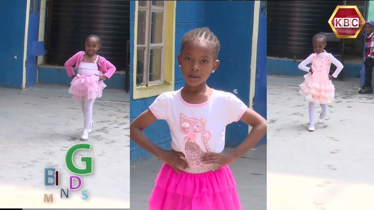 Big Minds I Performamces by Sportview School Zimmerman