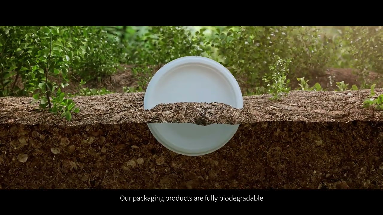 🌿 100% Biodegradable Tableware by HAINAN GREAT SHENGDA ECO PACK | From Nature, Back to Nature ♻️
