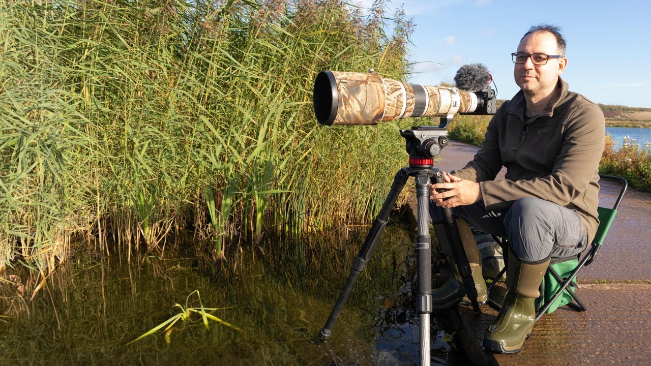 Расслабляющее утро у воды: видеоблог о фотографии птиц (Canon R6 и объектив EF 500mm F/4)
