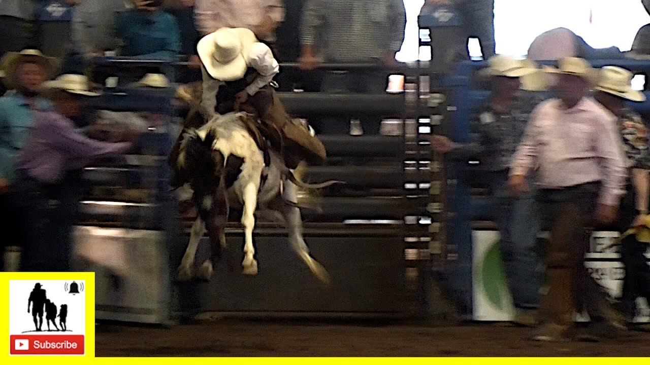 Катание на миниатюрных мустангах — Ben Johnson Days Ranch Rodeo 2022 | Суббота