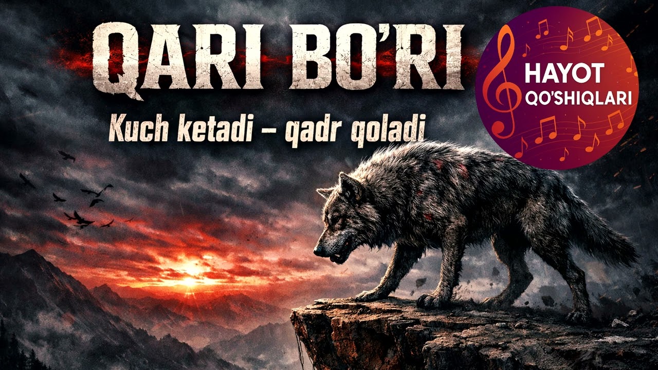 Qari bo‘ri — Kuch ketadi, qadr qoladi | Dramatik rok qo‘shiq 2026