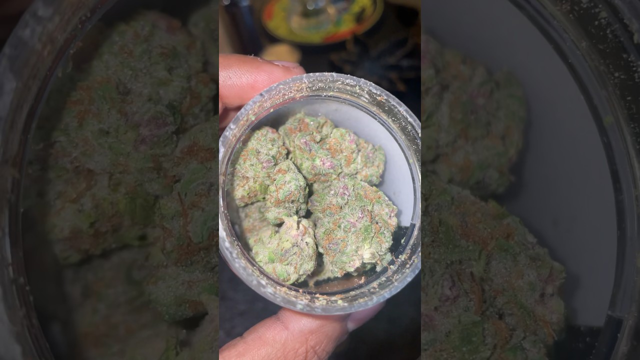 Super Mochi 😮&zwj;💨 - Preston Hemp Co