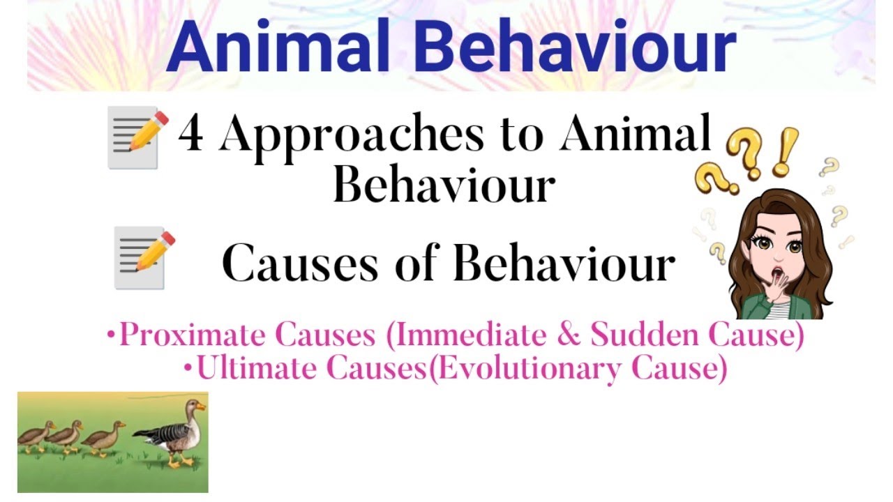 4 Approaches of Animal Behaviour |Causes of Behaviour :- Proximate Cause & Ultimate Cause | Ethology