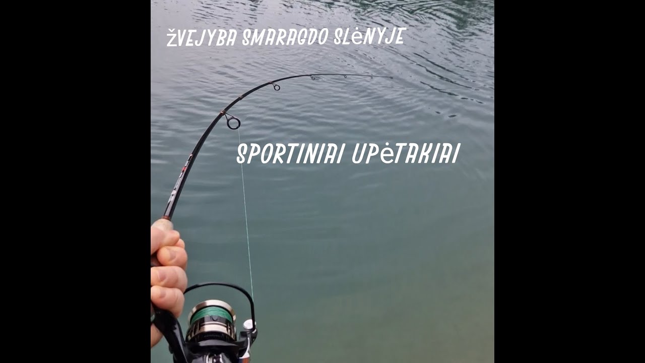 Žvejyba Smaragdo slėnyje. Stiprūs tvenkinio upėtakiai.