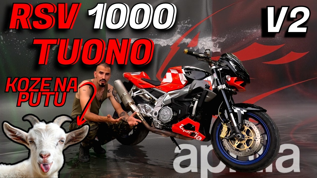 🔥Crveni Lav / Aprilia 1000 Tuono  2006 / Test / Review / Recenzija