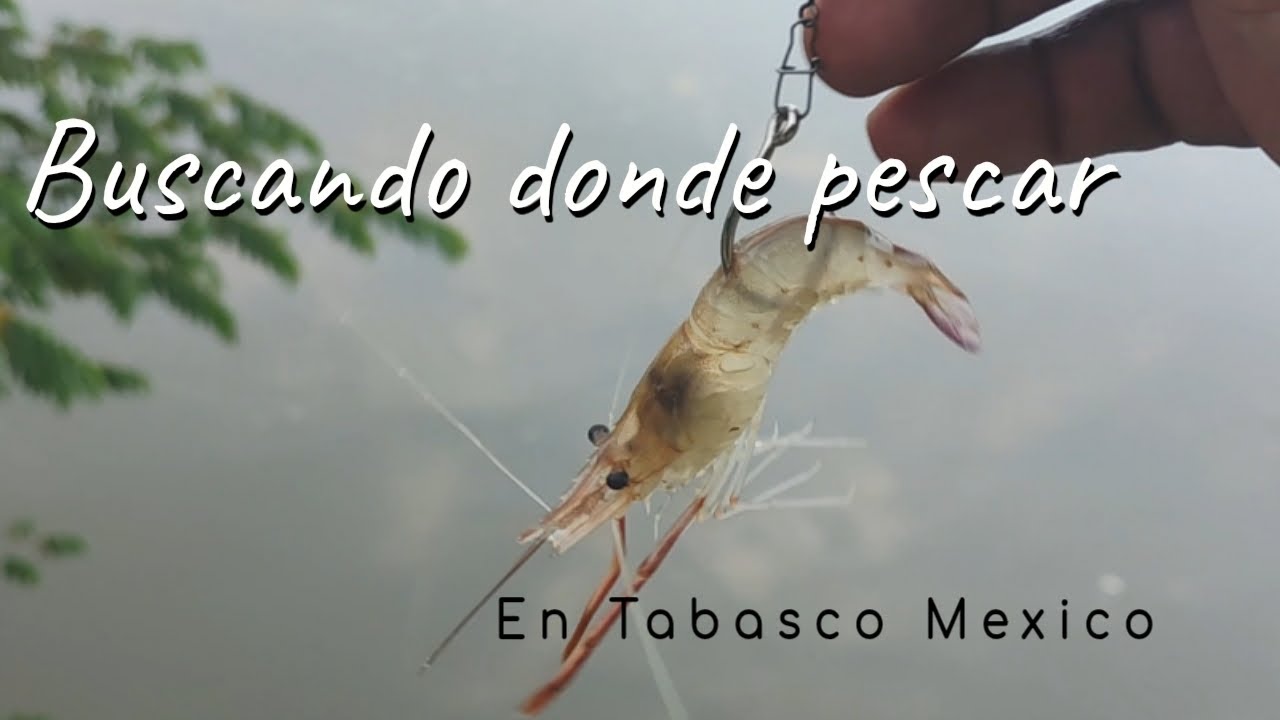 En busca de nuevos puntos de pesca